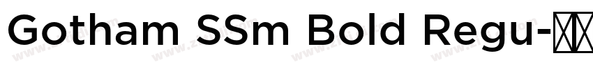 Gotham SSm Bold Regu字体转换